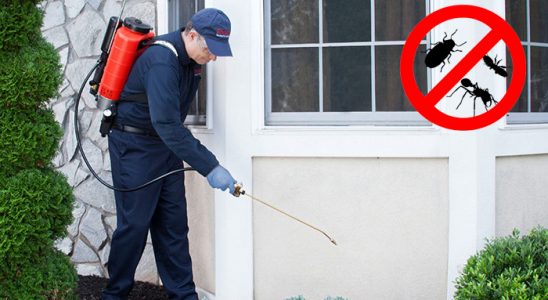 Kemalpaşa Karınca İlaçlama böcek ilaçlama ve haşere kontrolü — ilaclama-tr.com